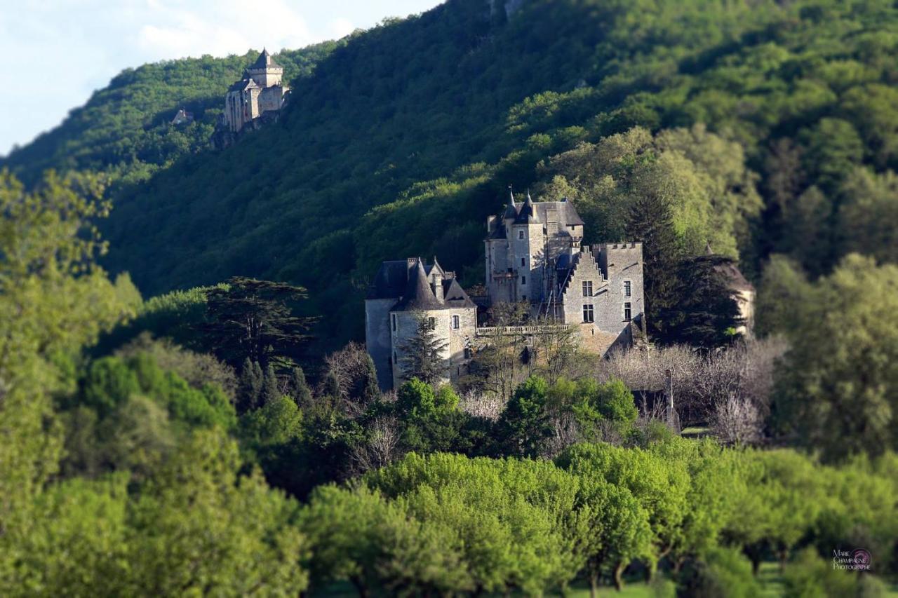 Au Coeur De Beynac, Une Maison De Caractere Avec Jardin Terrasse Eksteriør billede